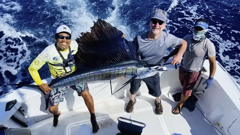 With client and sailfish